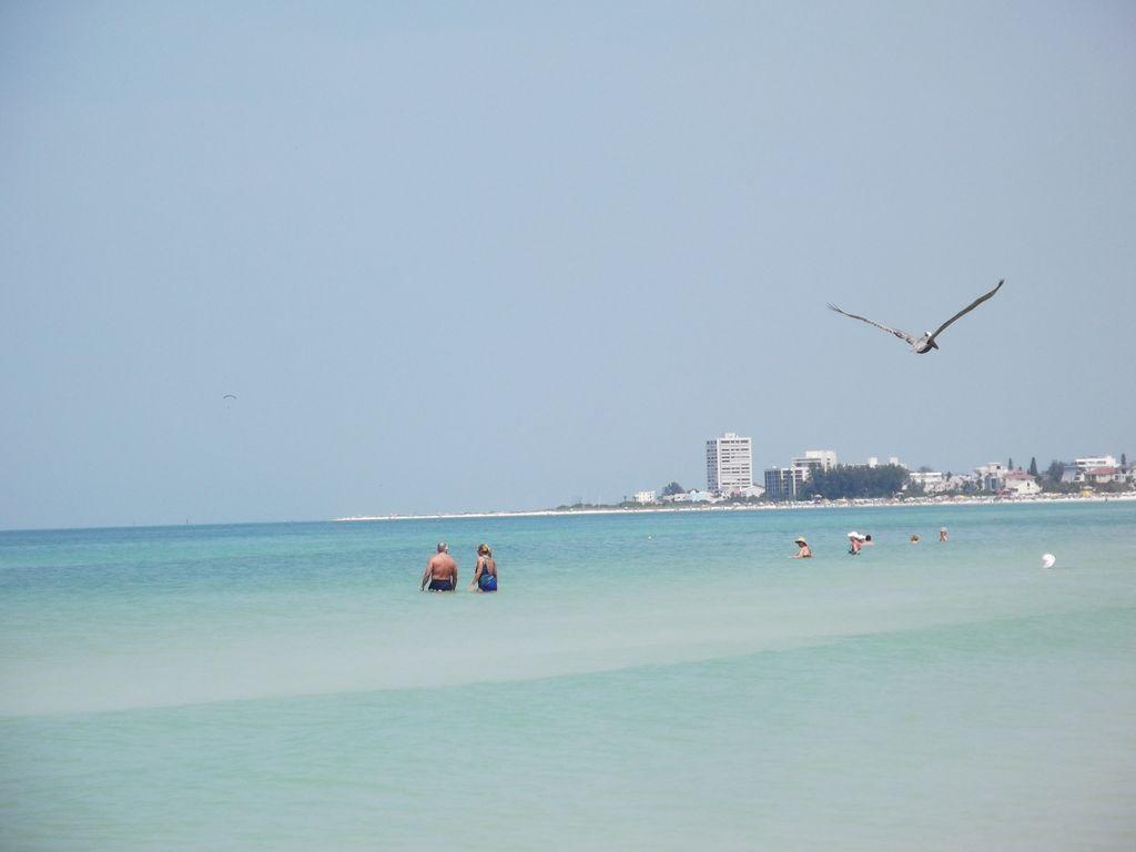 2Br/1Ba Vacation Rental - Sienna Park Sarasota Buitenkant foto